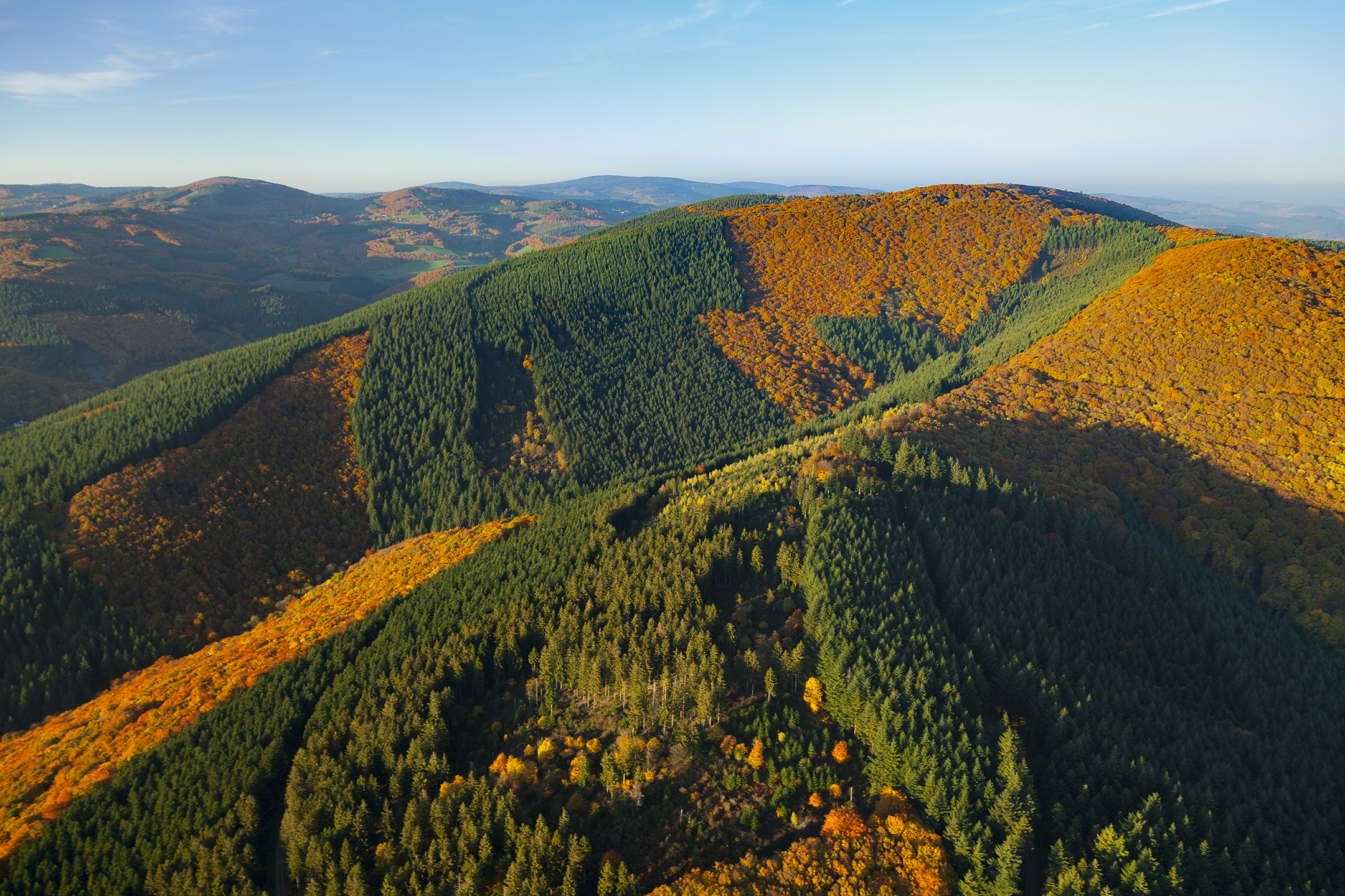 Bibracte Ultra-Trail